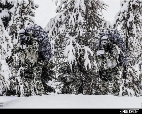  - Lustige Bilder | DEBESTE.de