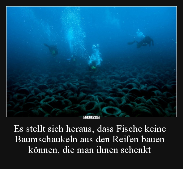 Es stellt sich heraus, dass Fische keine Baumschaukeln aus.. - Lustige Bilder | DEBESTE.de