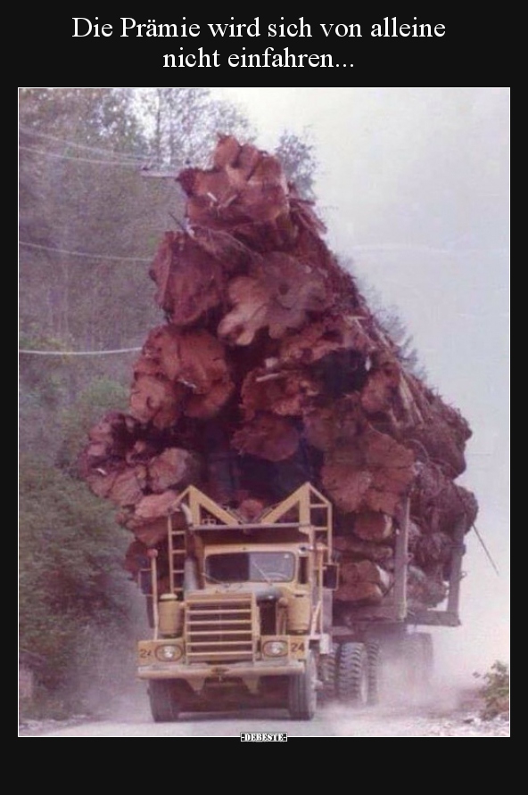 Die Prämie wird sich von alleine  nicht einfahren...