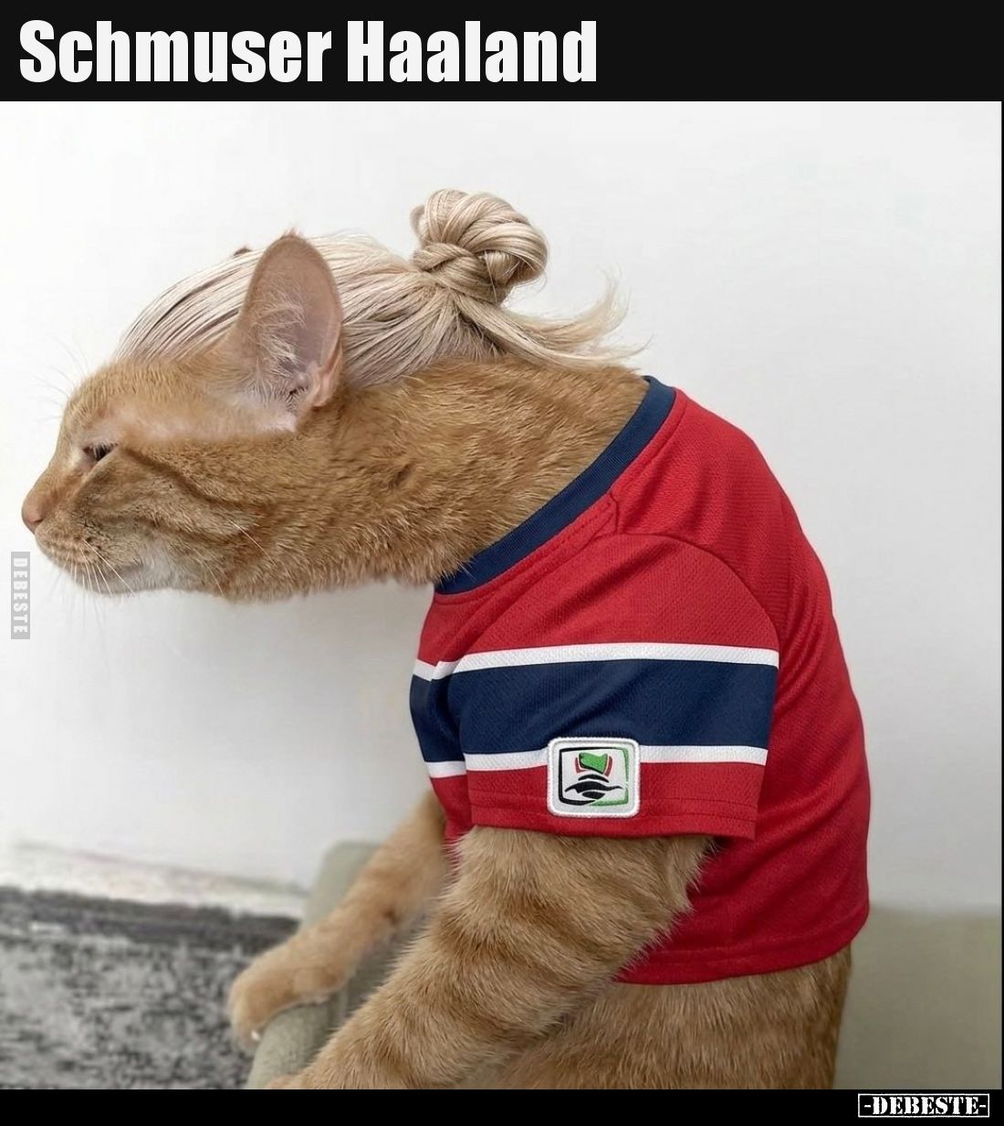 Schmuser Haaland.. - Lustige Bilder | DEBESTE.de