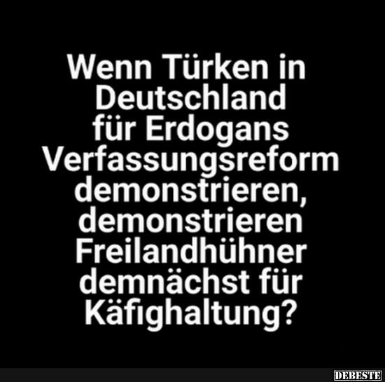 Wenn Türken in Deutschland für Erdogans Verfassungsreform demonstieren.. - Lustige Bilder | DEBESTE.de