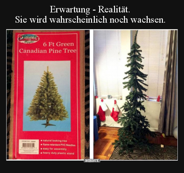 Erwartung - Realität. Sie wird wahrscheinlich noch.. - Lustige Bilder | DEBESTE.de