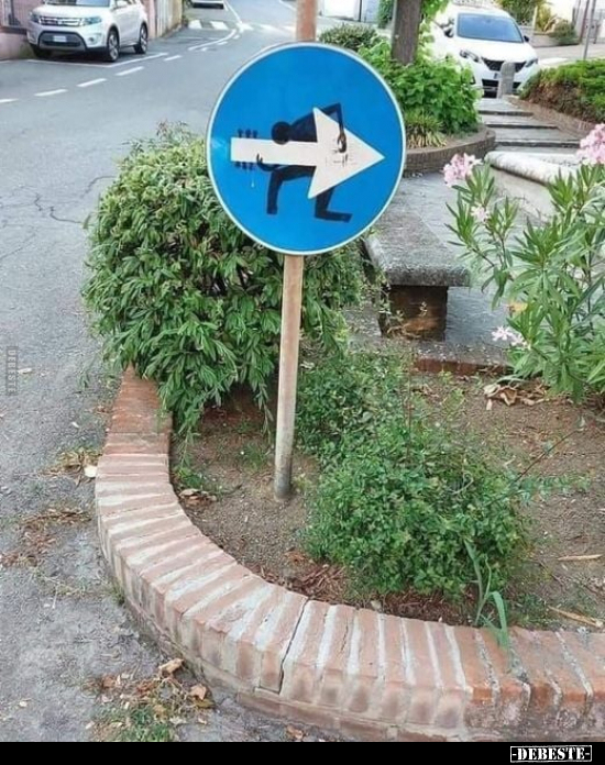  - Lustige Bilder | DEBESTE.de