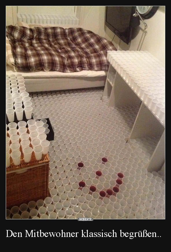 Den Mitbewohner klassisch begrüßen..