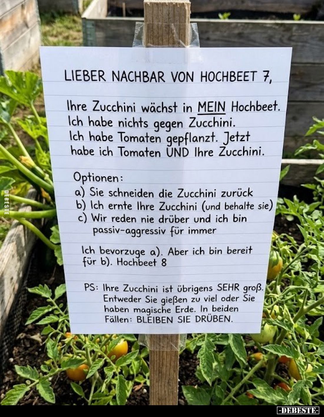 Lieber Nachbar von Hochbeet 7, Ihre Zucchini wächst in MEIN Hochbeet.
Ich habe nichts gegen Zucchini.
Ich habe Tomaten gepf...