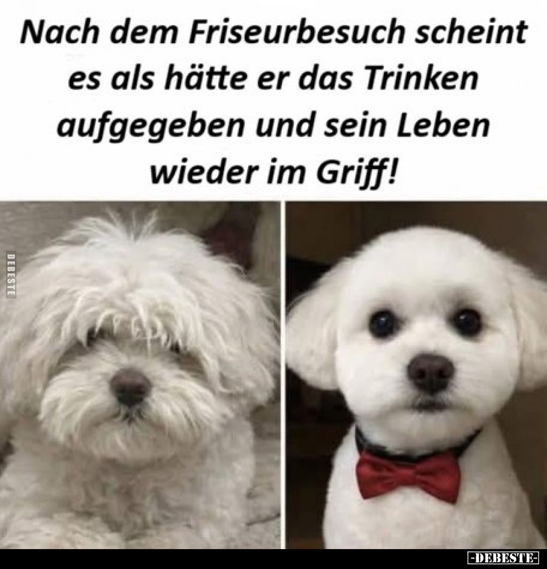 Nach dem Friseurbesuch scheint es als hätte er das Trinken aufgegeben und sein Leben wieder im Griff!.
