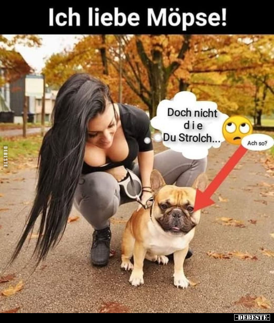 Ich liebe Möpse!
Doch nicht die Du Strolch...
Ach so?