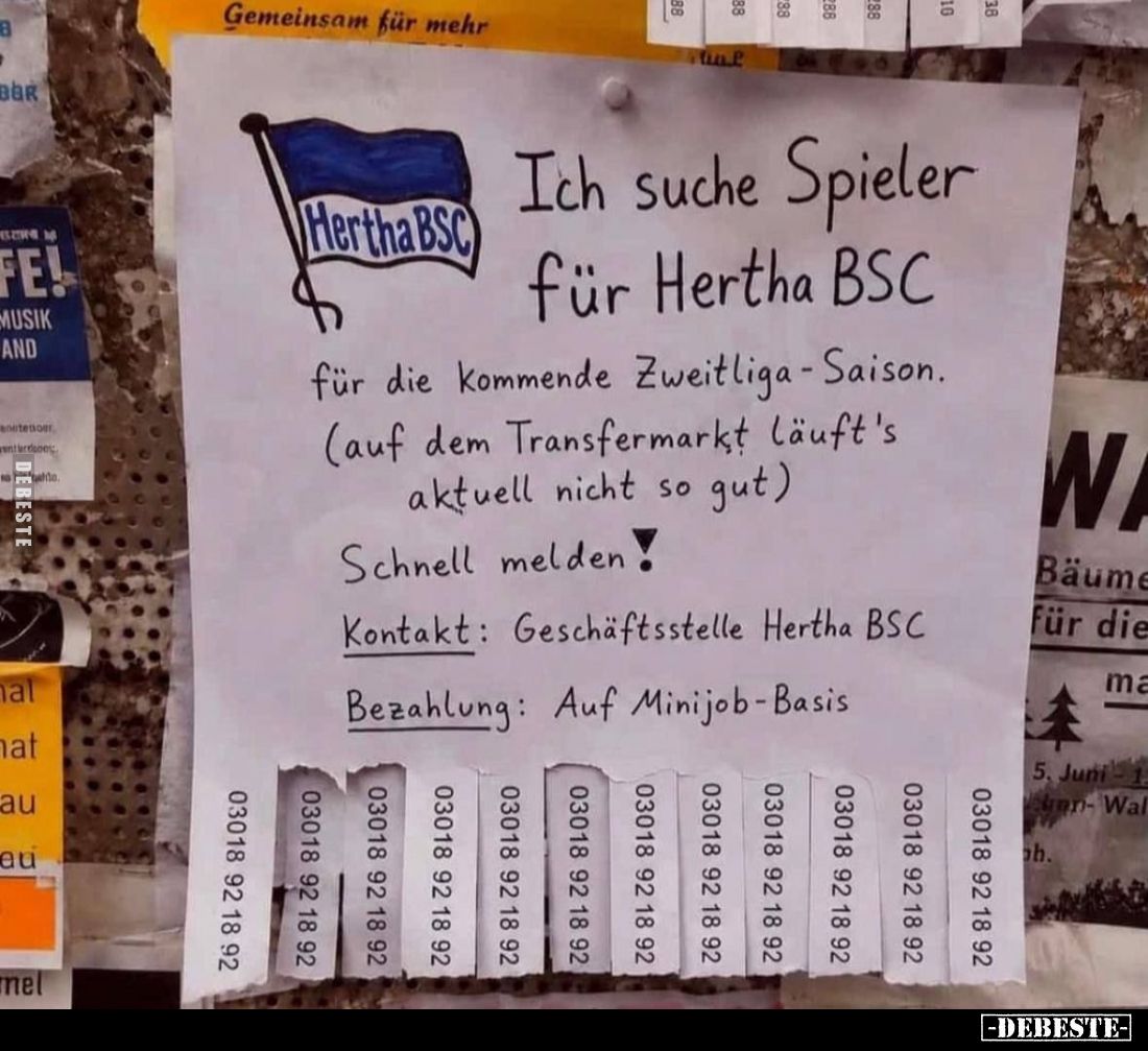 Ich suche Spieler für Hertha BSC. -
für die kommende Zweitliga-Saison. -
(auf dem Transfermarkt läuft's aktuell nicht so gu...