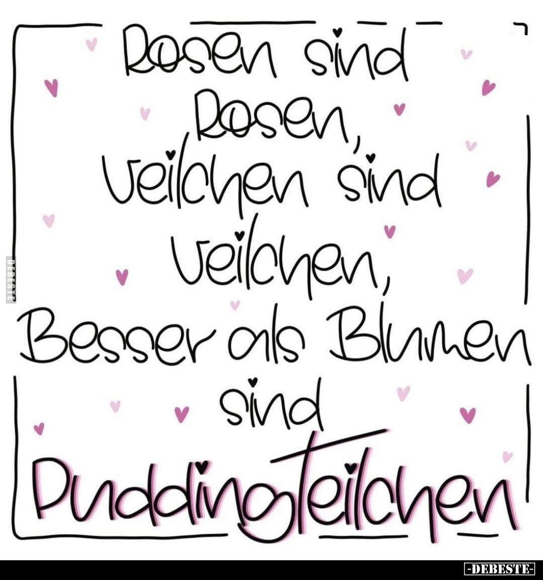 Rosen sind Rosen, Veilchen sind Veilchen, A Besser als Blumen sind Pudding Teilchen!