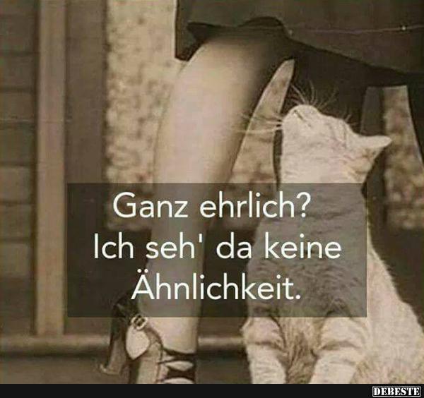 Ganz ehrlich? Ich seh' da keine..