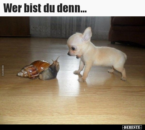 Wer bist du denn...