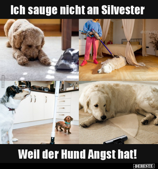 Lustige Bilder