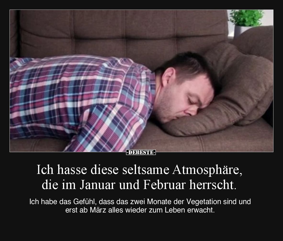 Ich hasse diese seltsame Atmosphäre, die im Januar und Februar herrscht.
Ich habe das Gefühl, dass das zwei Monate der Veg...