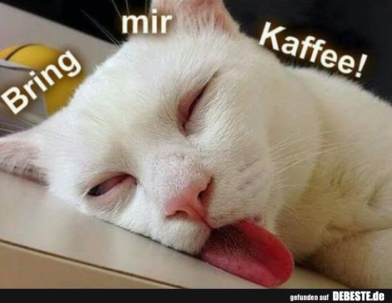 Bring mir Kaffee!