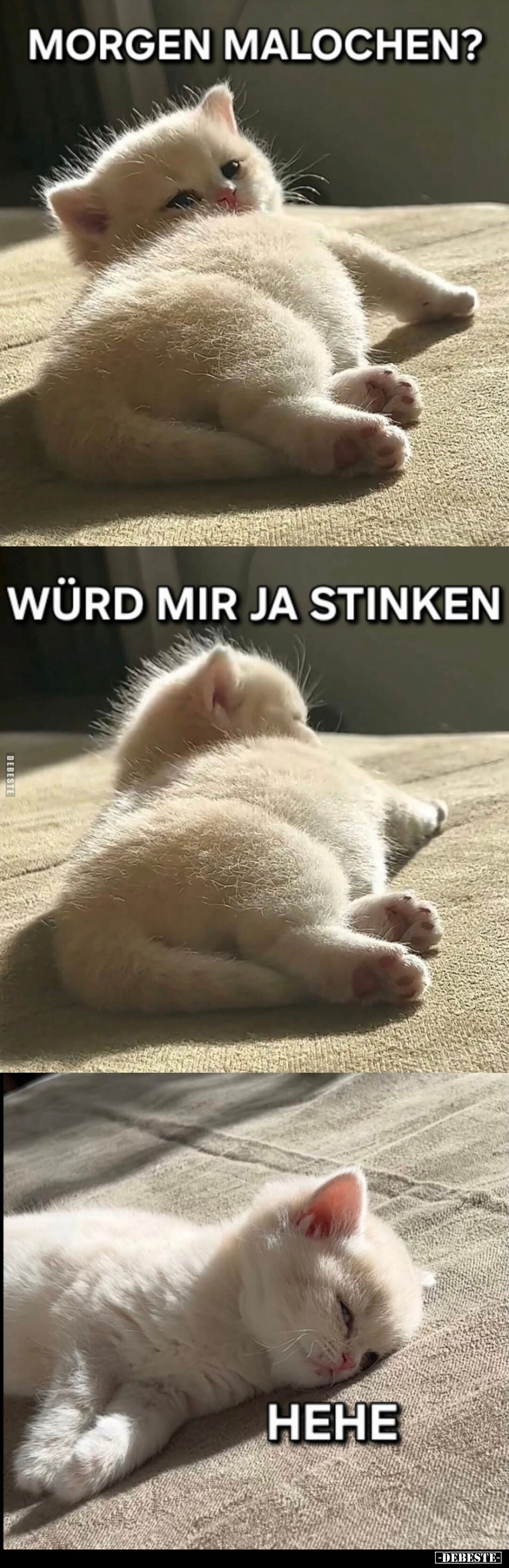 Morgen malochen? -
Würd mir ja stinken. -
Hehe.