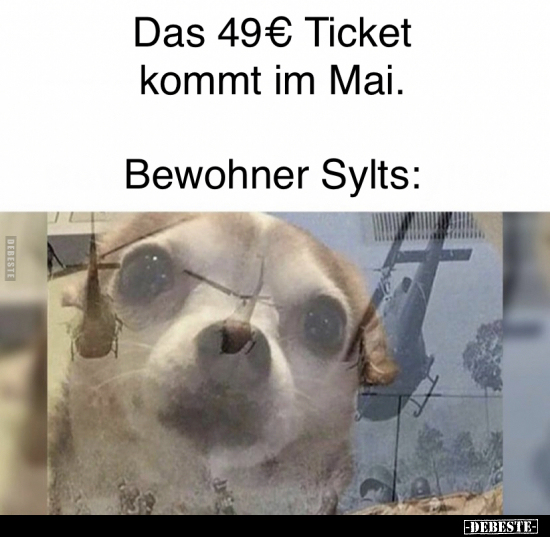 Das 49€ Ticket kommt im Mai. Bewohner Sylts.. - Lustige Bilder | DEBESTE.de