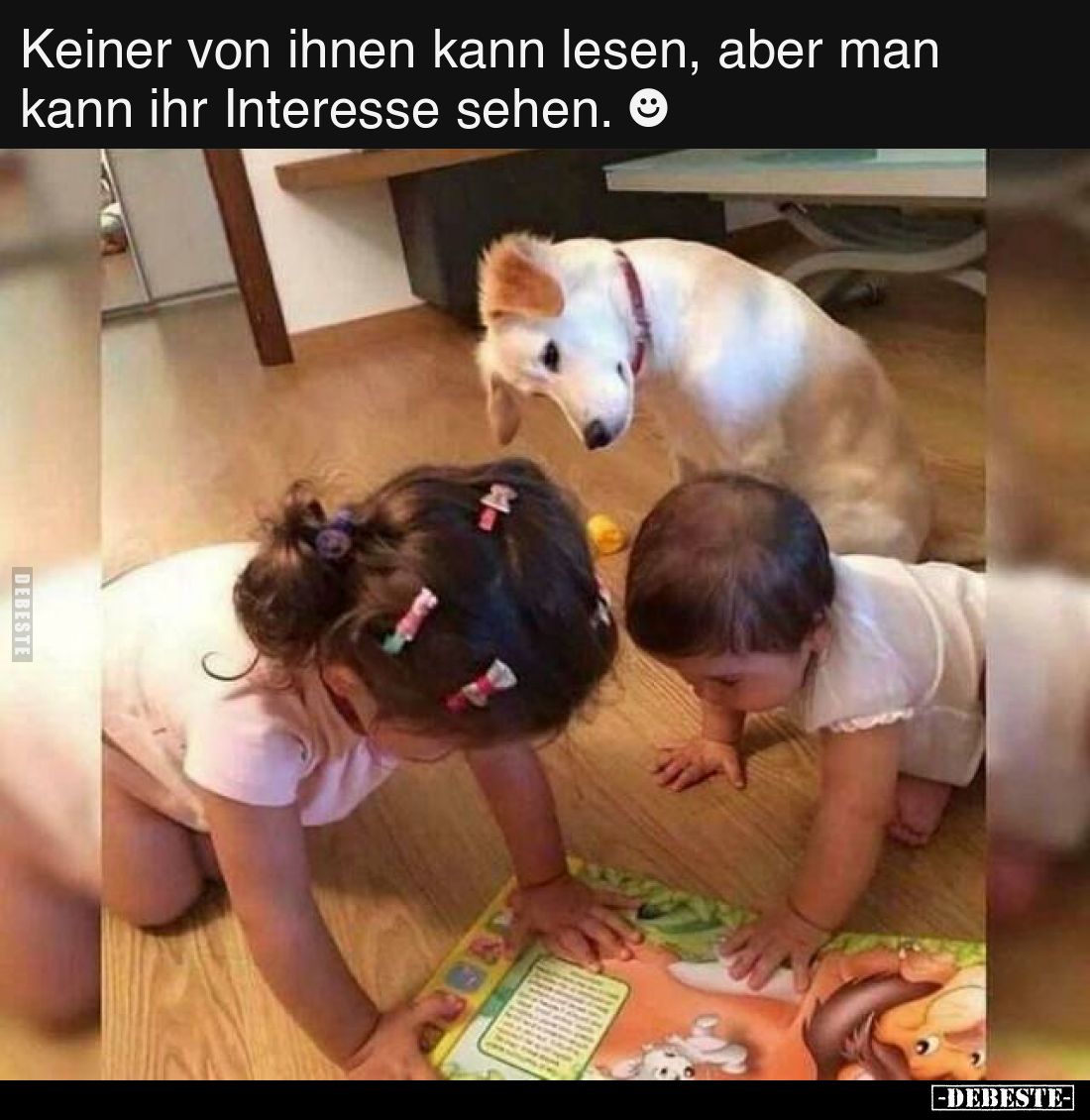 Keiner von ihnen kann lesen, aber man kann ihr Interesse sehen.