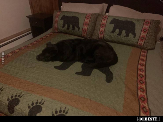  - Lustige Bilder | DEBESTE.de