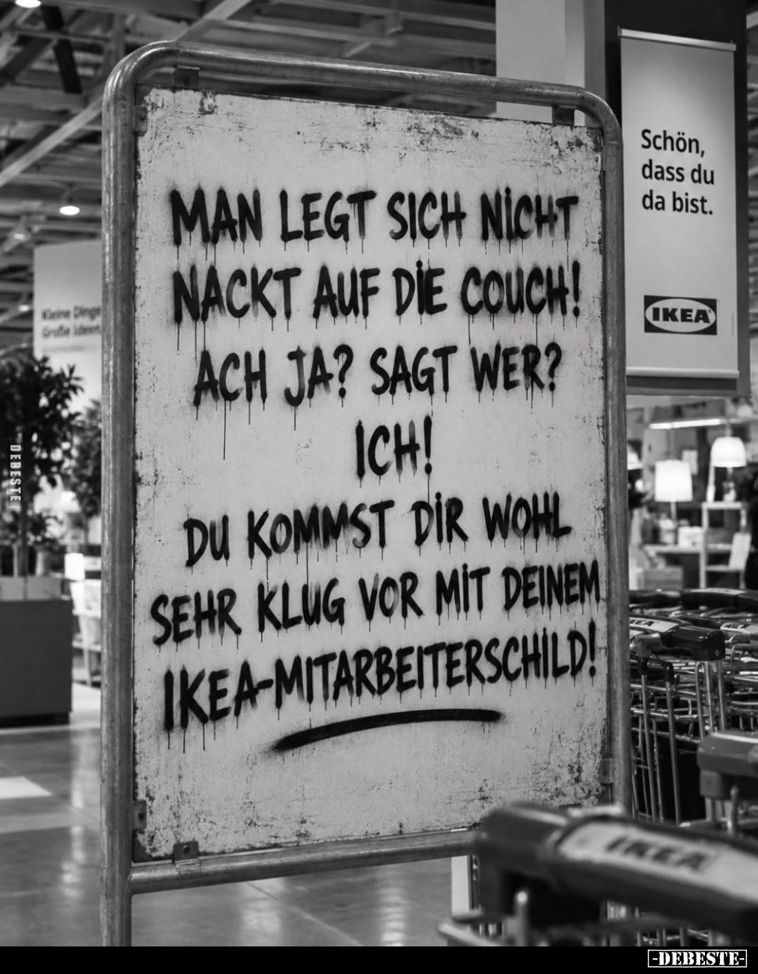 Man legt sich nicht nackt auf die Couch!

Ach ja? Sagt wer?

Ich!

Du kommst dir wohl sehr klug vor mit deinem IKEA-Mit...