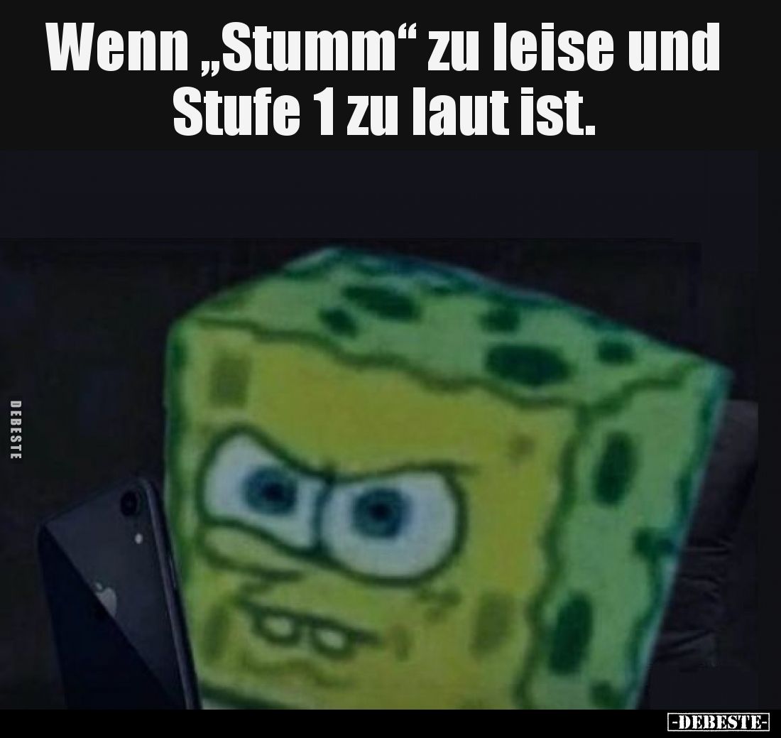 Wenn „Stumm“ zu leise und Stufe 1 zu laut ist.