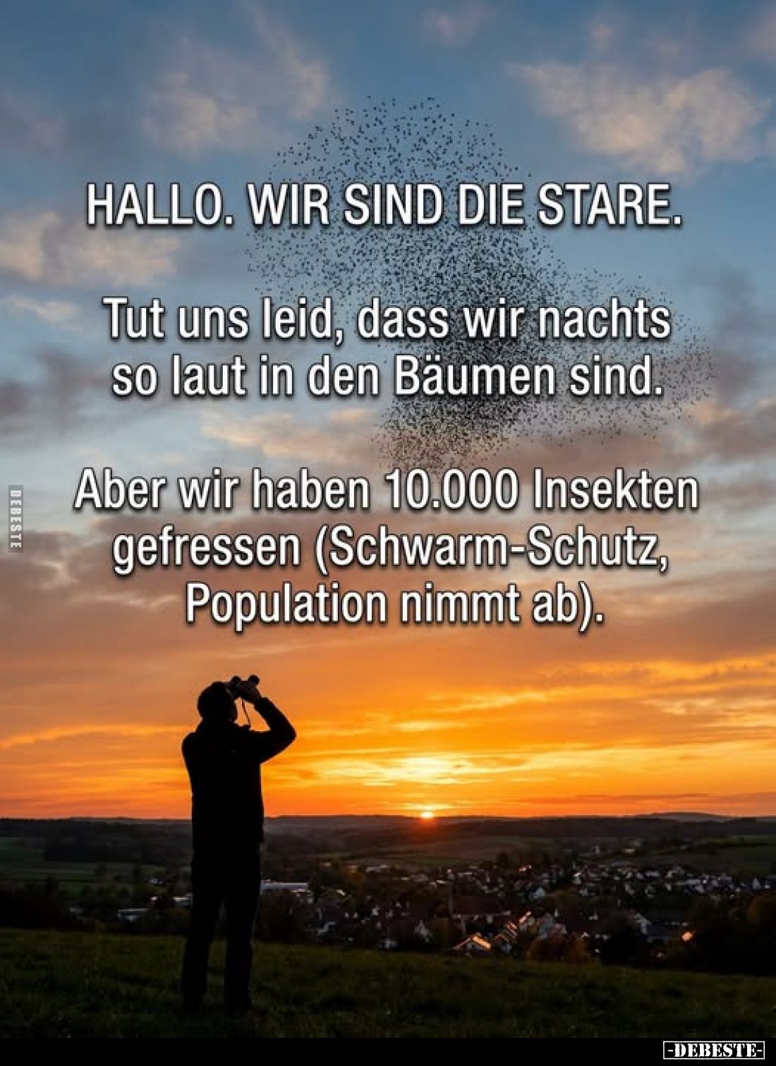 Hallo. Wir sind die Stare. Tut uns leid, dass wir nachts so laut in den Bäumen sind.
Aber wir haben 10.000 Insekten gefresse...
