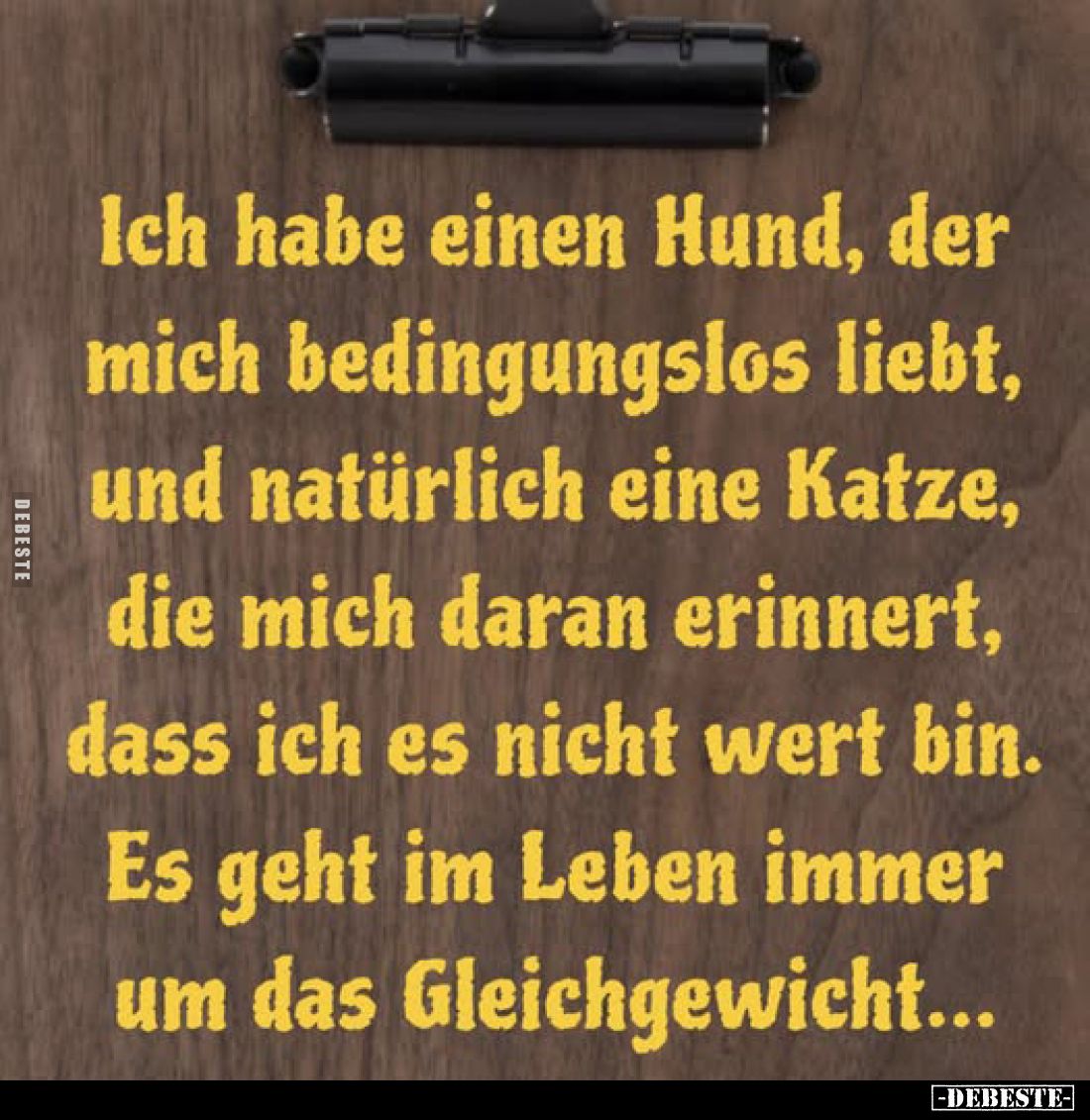 Ich habe einen Hund, der mich bedingungslos liebt, und natürlich eine Katze, die mich daran erinnert, dass ich es nicht wert ...