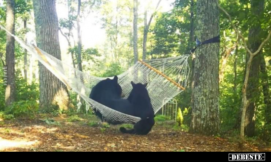  - Lustige Bilder | DEBESTE.de