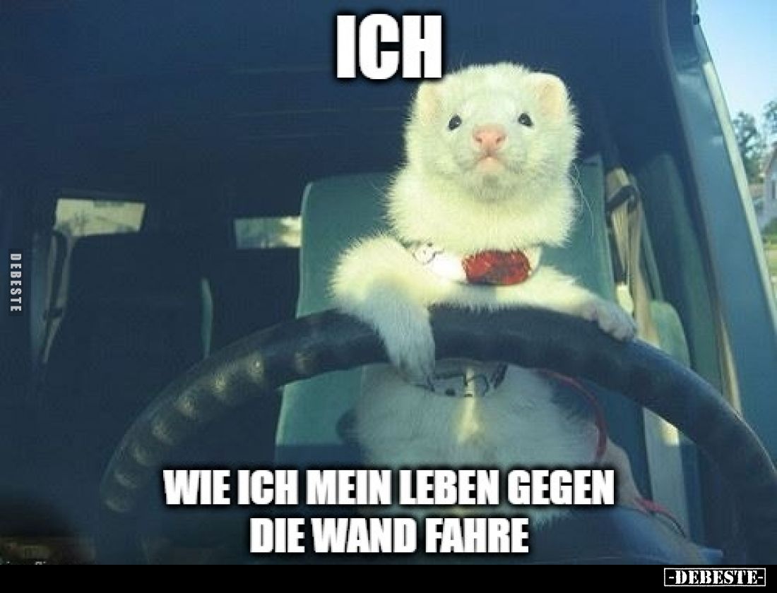 Ich... wie ich mein Leben gegen die Wand fahre.. - Lustige Bilder | DEBESTE.de