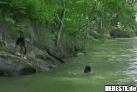 Daran wirst du einen echten Freund erkennen..