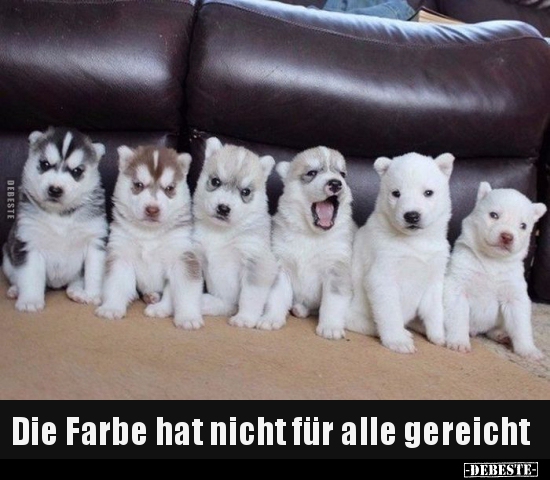 Die Farbe hat nicht für alle gereicht..