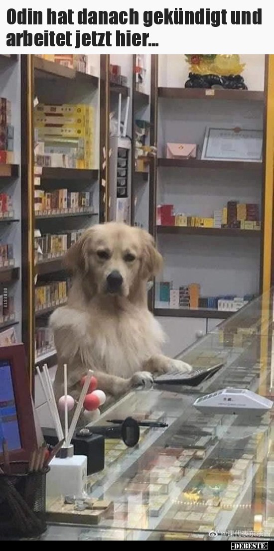 Odin hat danach gekündigt und arbeitet jetzt hier...