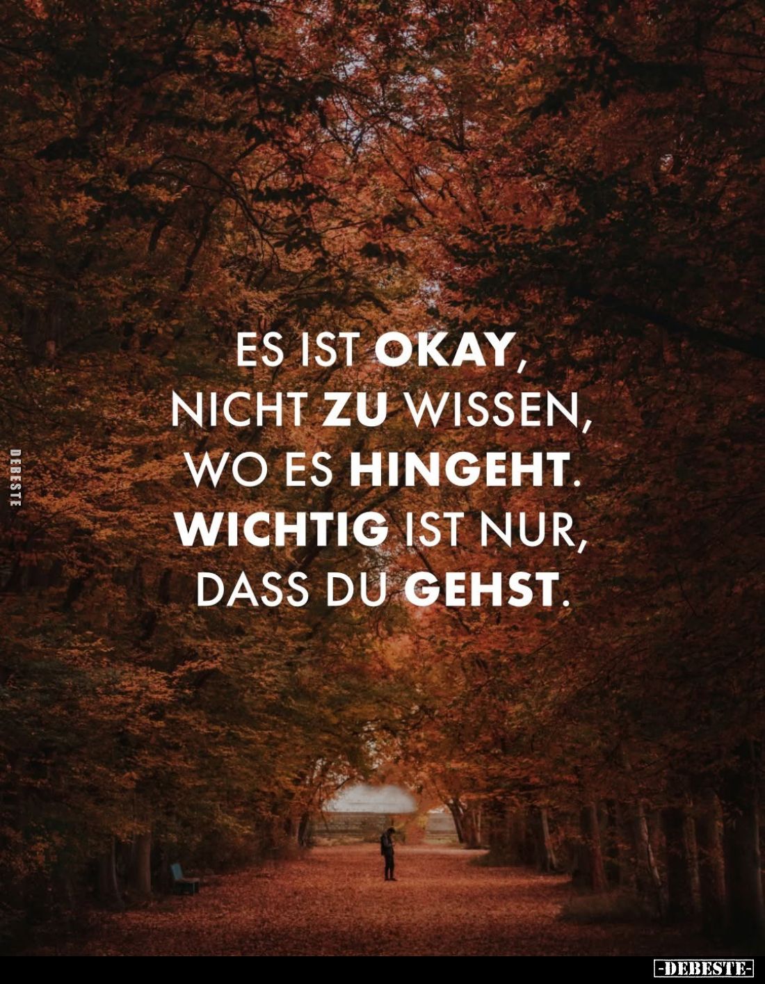 Es ist okay, nicht zu wissen, wo es hingeht. Wichtig ist nur, dass du gehst.