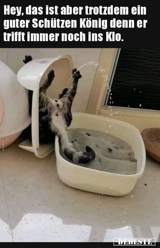  - Lustige Bilder | DEBESTE.de