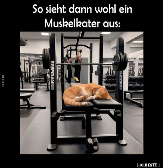 So sieht dann wohl ein Muskelkater aus.. - Lustige Bilder | DEBESTE.de