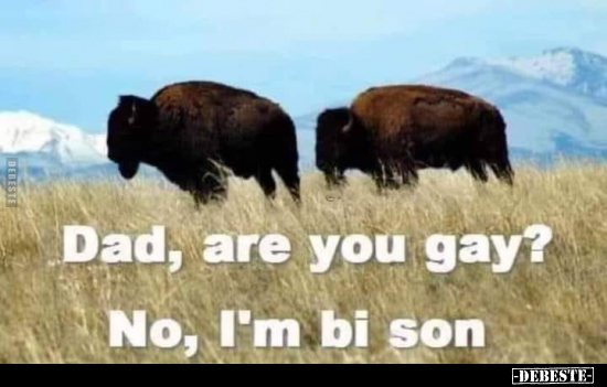  - Lustige Bilder | DEBESTE.de