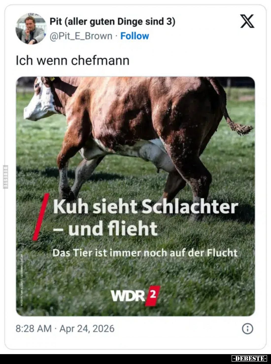 Ich wenn chefmann