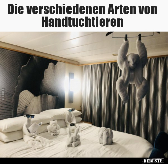 Die verschiedenen Arten von Handtuchtieren.. - Lustige Bilder | DEBESTE.de