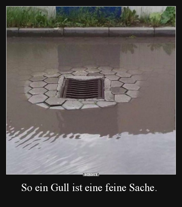 So ein Gull ist eine feine Sache.