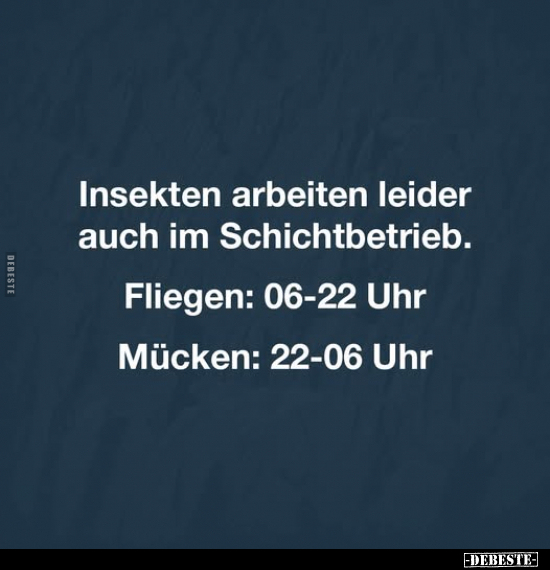 Insekten, Fliegen, Mücken