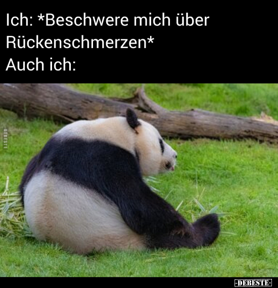 Ich: *Beschwere mich über Rückenschmerzen*.. - Lustige Bilder | DEBESTE.de