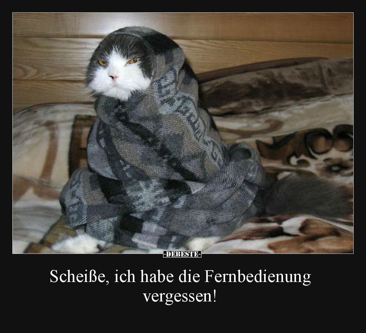 Schei*ße, ich habe die Fernbedienung vergessen!