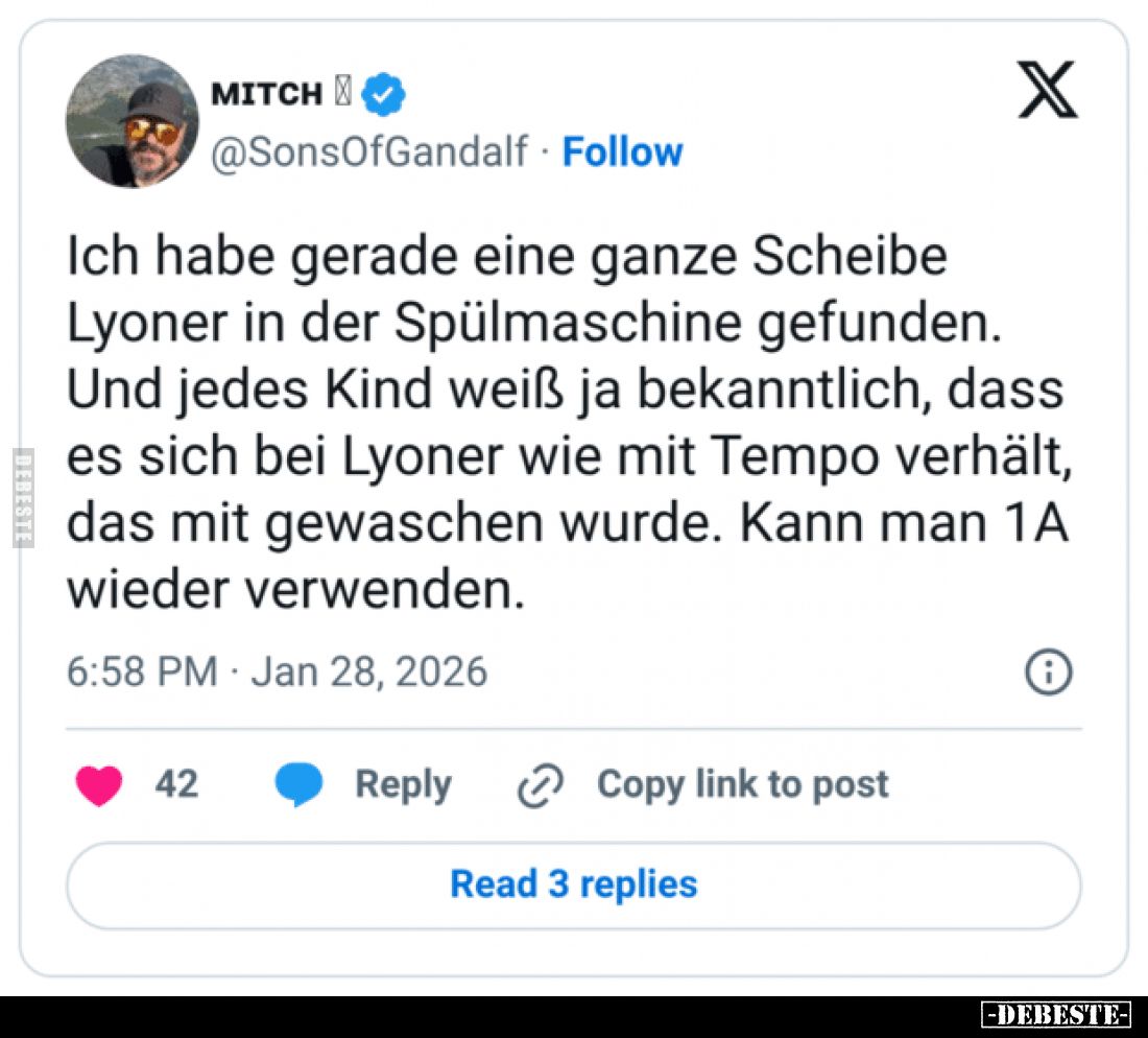 Ich habe gerade eine ganze Scheibe Lyoner in der Spülmaschine gefunden. Und jedes Kind weiß ja bekanntlich, dass es sich bei ...