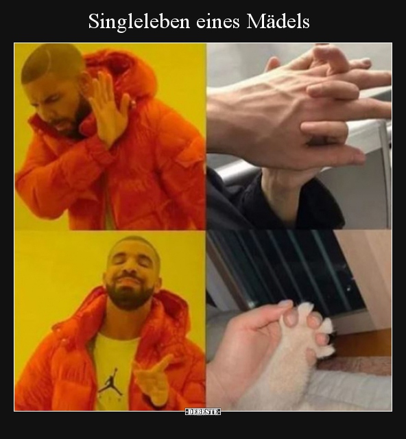 Singleleben Eines Madels Lustige Bilder Spruche Witze Echt Lustig