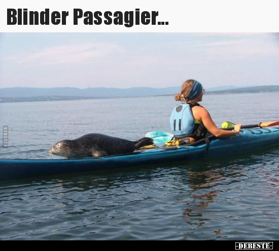 Blinder Passagier... - Lustige Bilder | DEBESTE.de