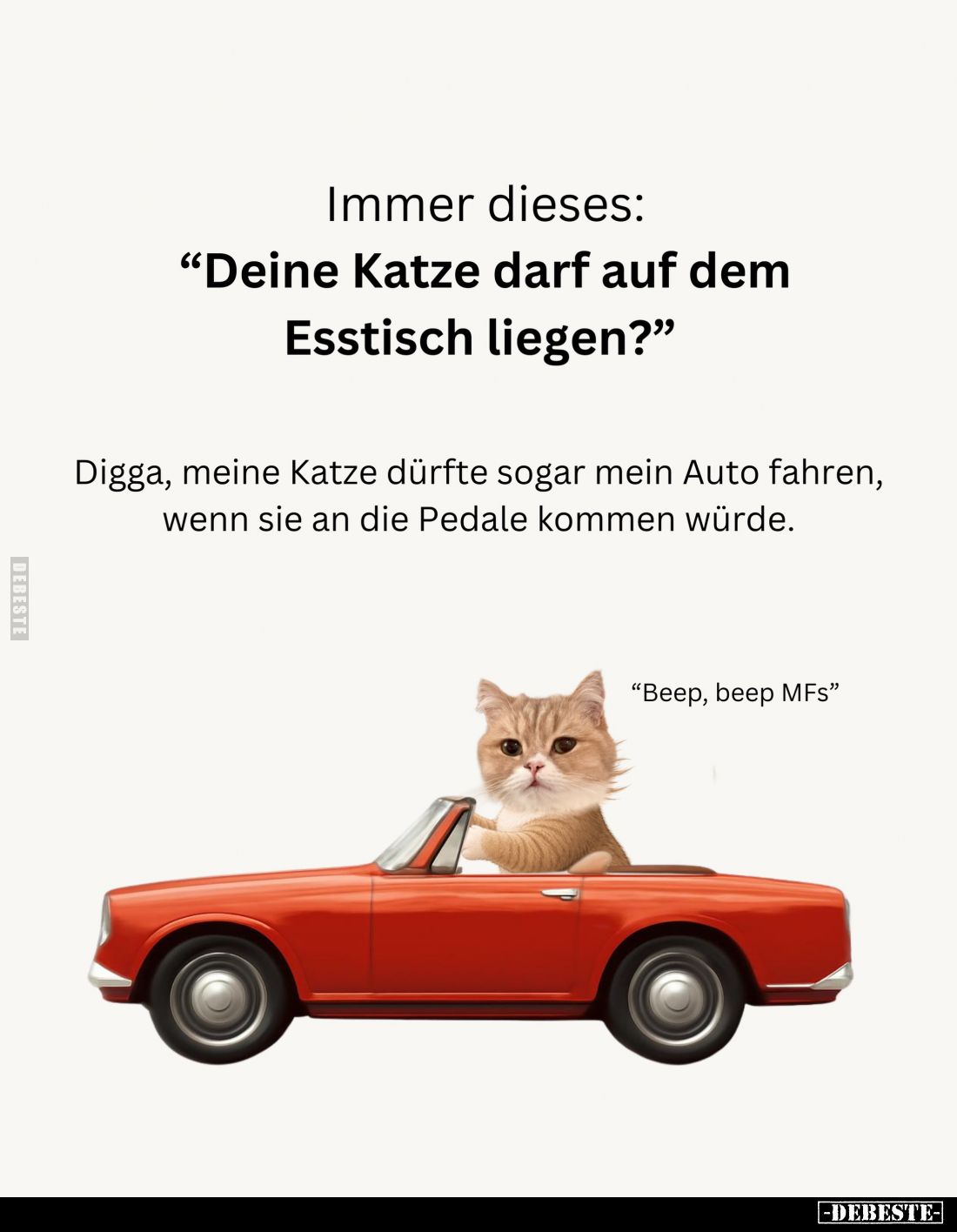 Immer dieses: "Deine Katze darf auf dem Esstisch liegen?.." - Lustige Bilder | DEBESTE.de