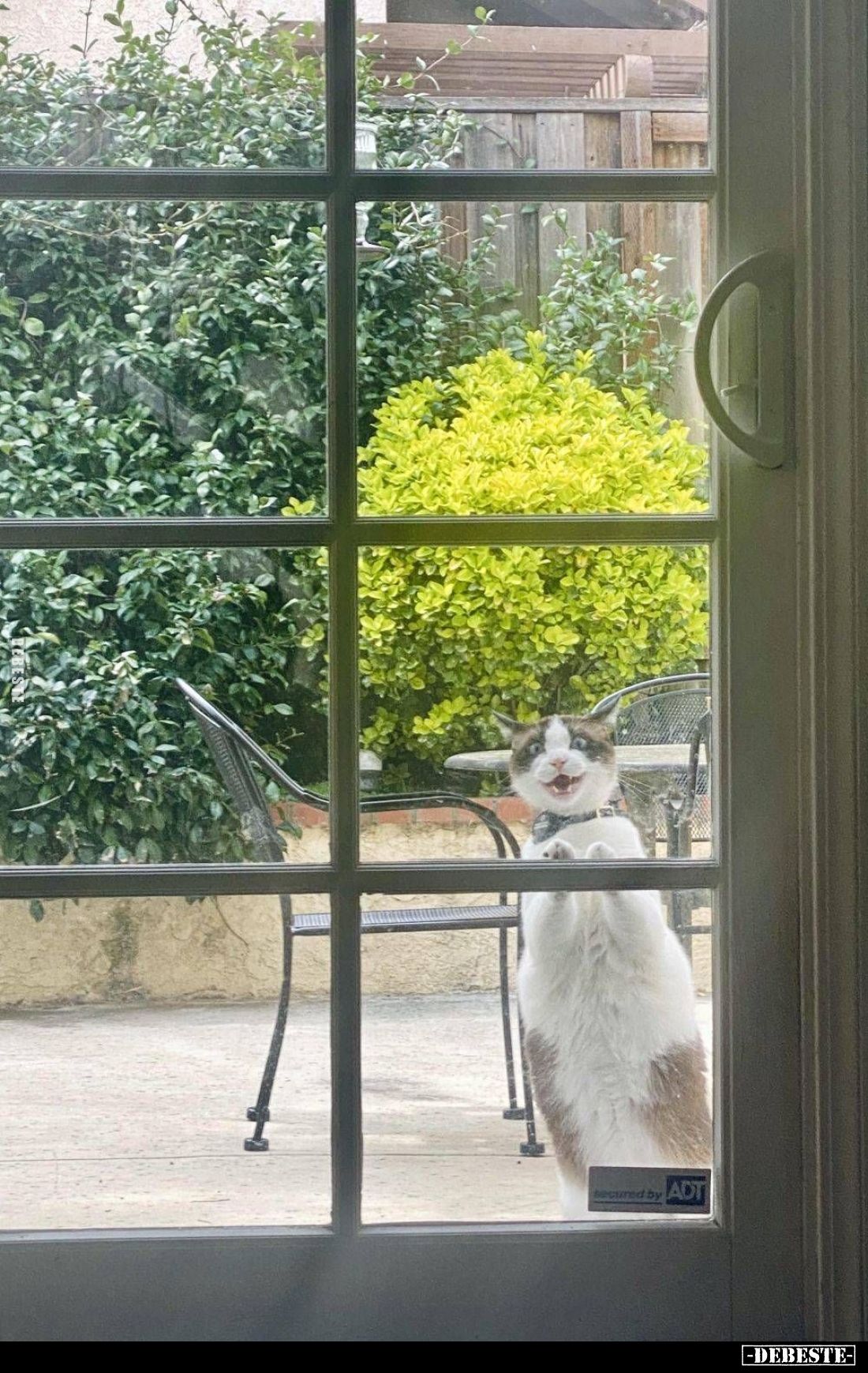 Bonjour..