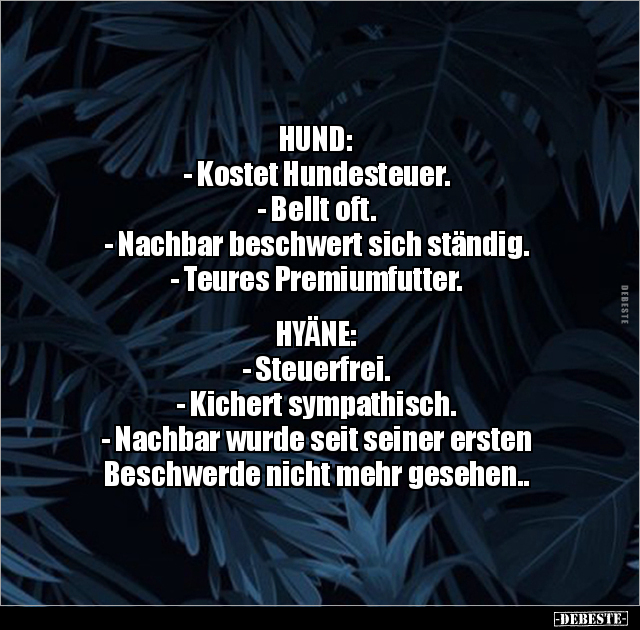 HUND: - Kostet Hundesteuer. - Bellt oft... - Lustige Bilder | DEBESTE.de