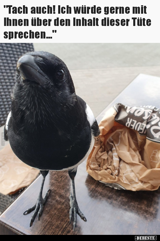 "Tach auch! Ich würde gerne mit Ihnen über den Inhalt.." - Lustige Bilder | DEBESTE.de