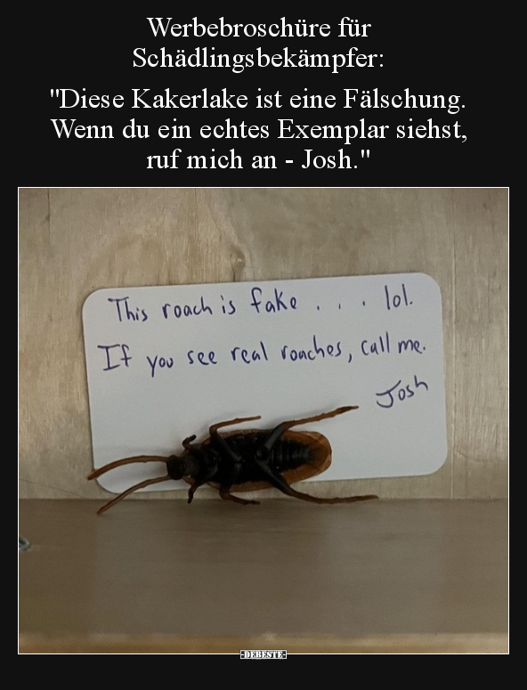 Werbebroschüre für Schädlingsbekämpfer: "Diese Kakerlake.." - Lustige Bilder | DEBESTE.de