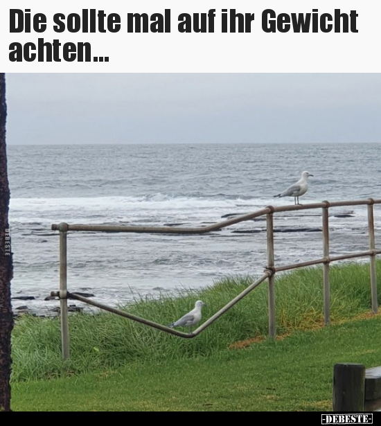 Die sollte mal auf ihr Gewicht achten...